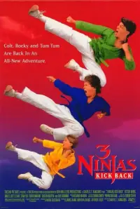Poster to the movie "3 Ninjas Kick Back" #1042161