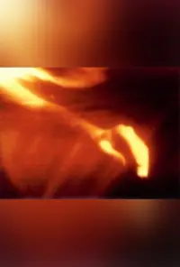 Poster to the movie "Fire Birth" #894180