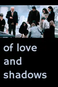 Poster to the movie "Of Love and Shadows" #922241