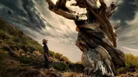 Backdrop to the movie "Trees and Other Entanglements" #638144