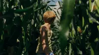 Backdrop to the movie "Goodnight Mommy" #269387