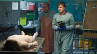 Backdrop to the movie "The Autopsy of Jane Doe" #265047