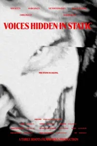 Voices Hidden in Static