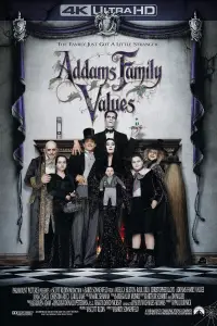 Poster to the movie "Addams Family Values" #925876