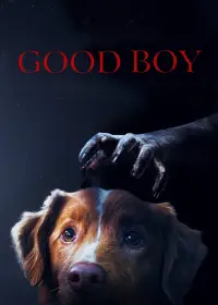 Poster to the movie "Good Boy" #899270