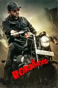 Poster to the movie "Robinhood" #979562