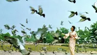 Backdrop to the movie "Hiroshima 28" #866335