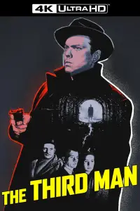 Poster to the movie "The Third Man" #1092891