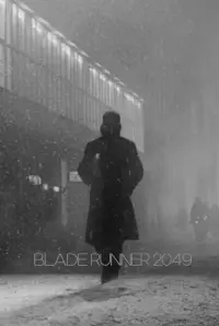 Poster to the movie "Blade Runner 2049" #724184