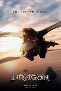 Poster to the movie "Untitled How to Train Your Dragon Film" #898142