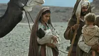 Backdrop to the movie "Genesis: The Creation and the Flood" #693821