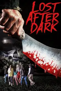 Poster to the movie "Lost After Dark" #1146681