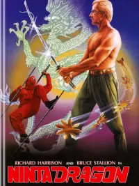Poster to the movie "Ninja Dragon" #1176941