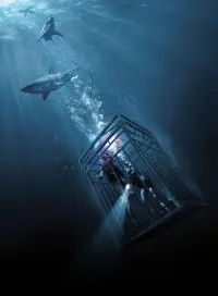 Poster to the movie "47 Meters Down" #691510