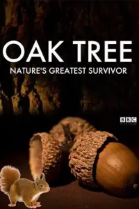 Poster to the movie "Oak Tree: Nature