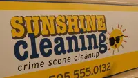 Backdrop to the movie "Sunshine Cleaning" #756338