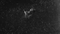 Backdrop to the movie "La Notte" #746506