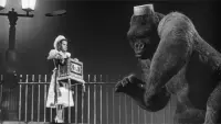 Backdrop to the movie "Mighty Joe Young" #746757