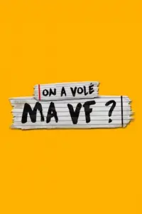 Poster to the movie "On a volé ma VF" #809100