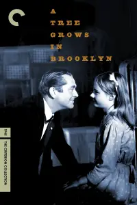 Poster to the movie "A Tree Grows in Brooklyn" #958848