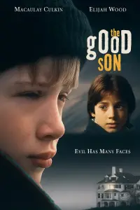 Poster to the movie "The Good Son" #1034147