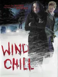 Poster to the movie "Wind Chill" #993317