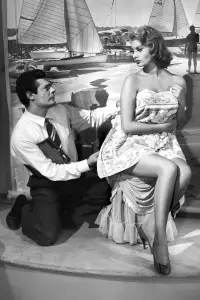 Poster to the movie "What a Woman!" #1142028