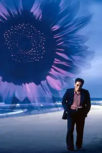 Poster to the movie "Fireworks" #711007