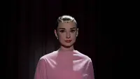 Backdrop to the movie "Funny Face" #809525