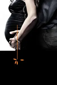 Poster to the movie "Return to Zero" #1129581