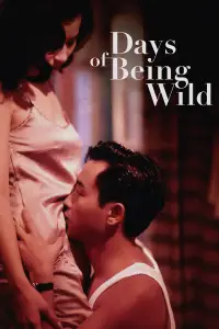Poster to the movie "Days of Being Wild" #961078