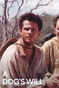 Poster to the movie "A Dog