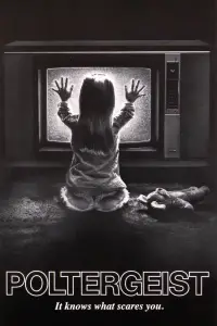 Poster to the movie "Poltergeist" #698447