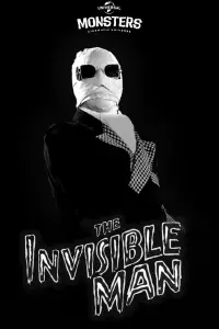 Poster to the movie "The Invisible Man" #997646