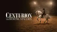 Backdrop to the movie "Centurion: The Dancing Stallion" #971479