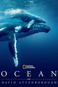 Poster to the movie "Ocean with David Attenborough" #617849