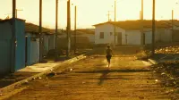Backdrop to the movie "Central Station" #853365