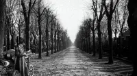 Backdrop to the movie "The Third Man" #834860
