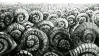 Backdrop to the movie "The Snails" #733836
