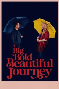 Poster to the movie "A Big Bold Beautiful Journey" #559379