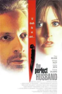 Poster to the movie "The Perfect Husband" #1207627
