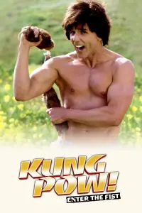 Poster to the movie "Kung Pow: Enter the Fist" #962634