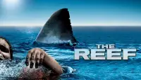 Backdrop to the movie "The Reef" #1110061