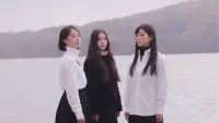 Backdrop to the movie "White Flowers and Fruits" #879272