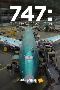 Poster to the movie "747: The Jumbo Revolution" #991242