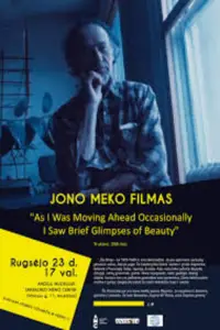 Poster to the movie "As I Was Moving Ahead, Occasionally I Saw Brief Glimpses of Beauty" #993359