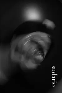 Poster to the movie "Sudario" #531664