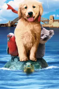 Poster to the movie "Napoleon" #646965