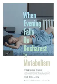 Poster to the movie "When Evening Falls on Bucharest or Metabolism" #1133865
