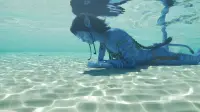Backdrop to the movie "Avatar: The Way of Water" #882808